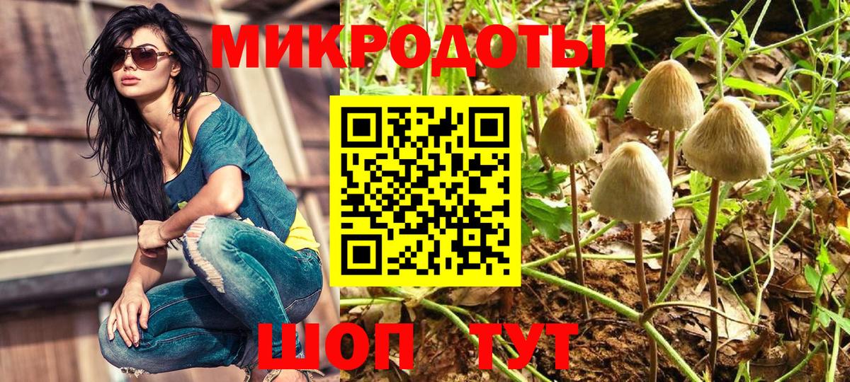 дарнет шоп  Псилоцибиновые грибы MAGIC MUSHROOMS  Вход с VPN  Норильск  Галлюциногенные грибы ЛСД 